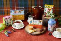 【Afternoon Tea】秋の味覚！ほっくりした＜芋＞や上品な甘さの＜栗＞が楽しめる！