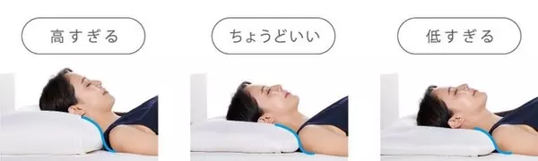 枕が合わない問題を解決するには ローリエプレス