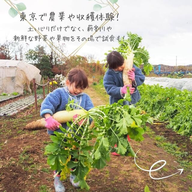 【東京で農業&収穫体験】東京地球農園で土いじりだけでなく、新鮮な野菜試食や薪割りも!の1枚目の画像