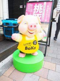 【ランチ】秋田県産の最高級ブランド豚・桃豚を堪能!しょうが焼き定食専門店 しょうが焼きBaKa☆