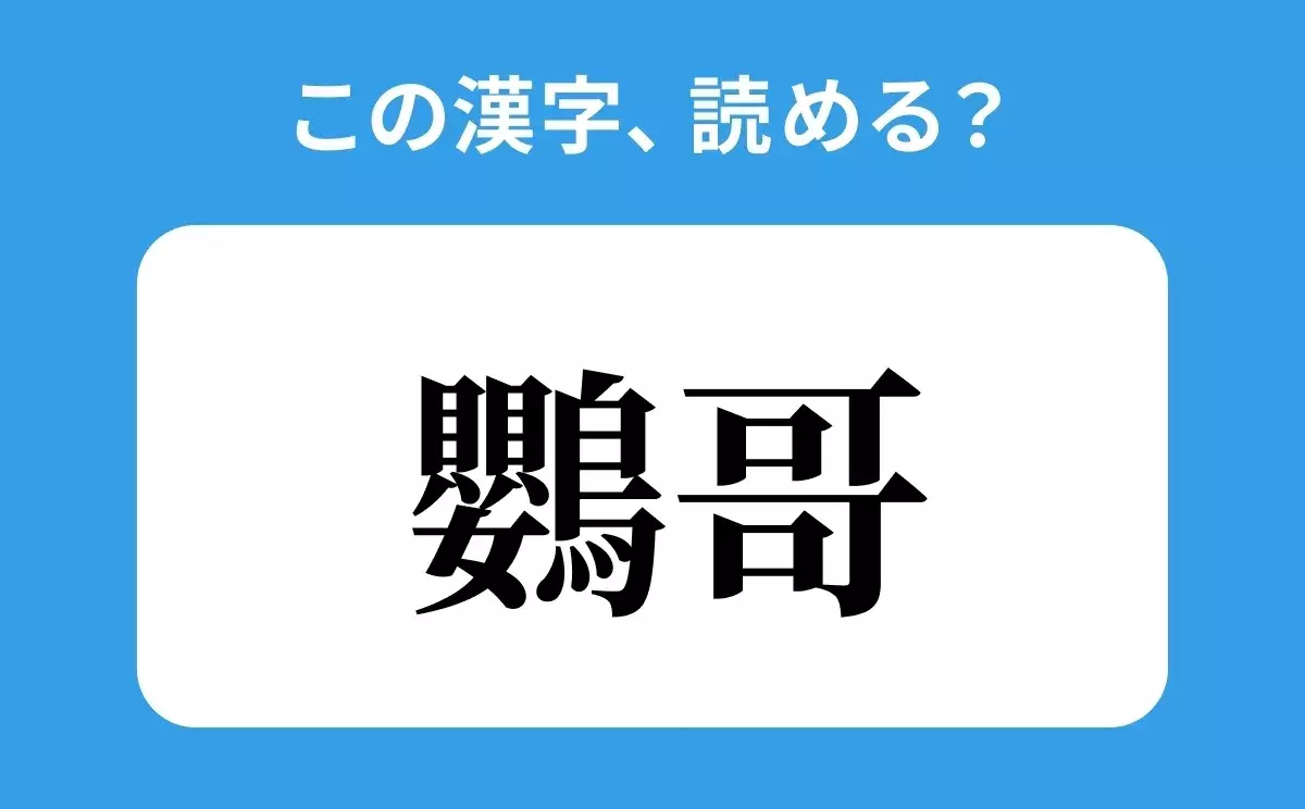 読めそうで読めない 鸚哥 の正しい読み方は ちょうか は間違い ローリエプレス 読めそうで読めない 鸚哥 の正しい読み方は ちょうか は間違い ローリエプレス