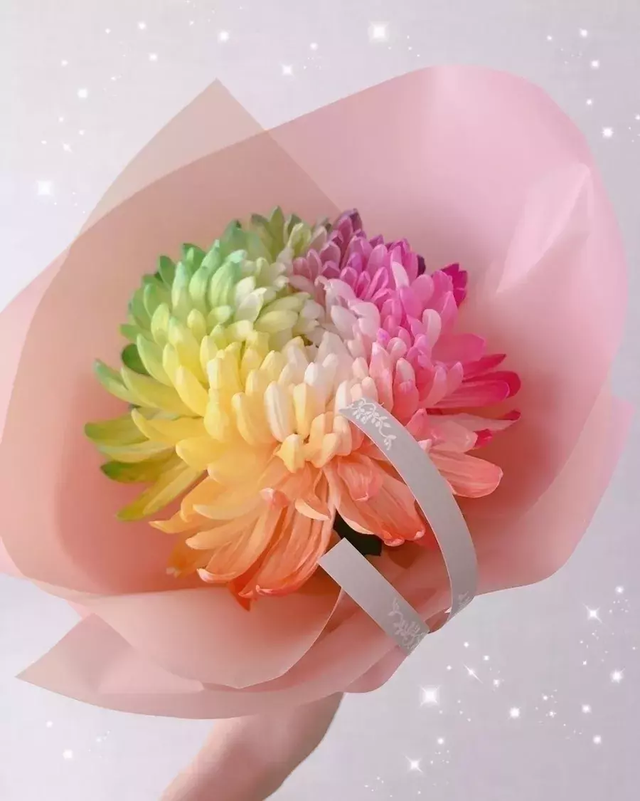 運気アップには玄関インテリアが鍵 風水で見るラッキーカラーも必見 ローリエプレス 運気アップには玄関インテリアが鍵 風水で見るラッキーカラーも必見 ローリエプレス