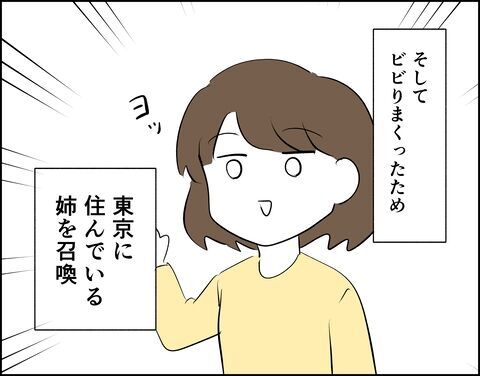 これで大丈夫かな？推しのためにライブハウスに向かいます【推し活してたら不倫されました Vol.6】の7枚目の画像