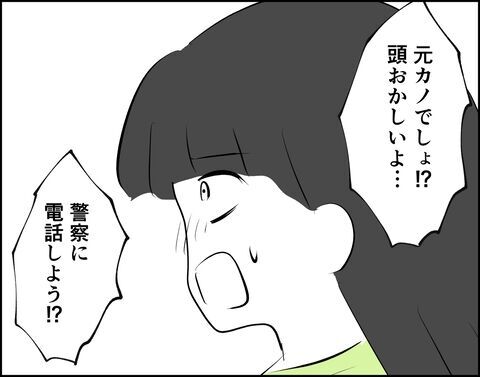 嘘でしょ…？ヤバい元カノの奇行「警察に電話しよう?!」【推し活してたら不倫されました Vol.85】の6枚目の画像