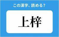 【読めそうで読めない】「上梓」の正しい読み方は？「かみあずさ」は間違い？