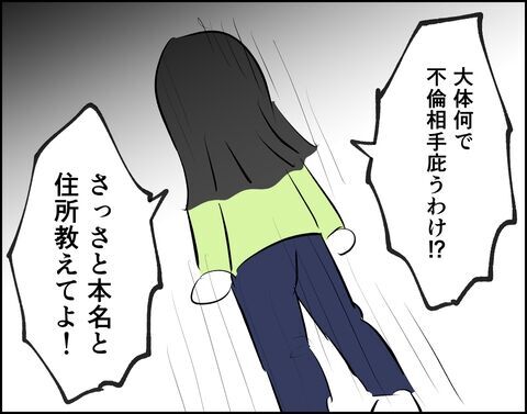 どうして不倫相手を庇うの!?夫の行動が理解不能【推し活してたら不倫されました Vol.61】の6枚目の画像