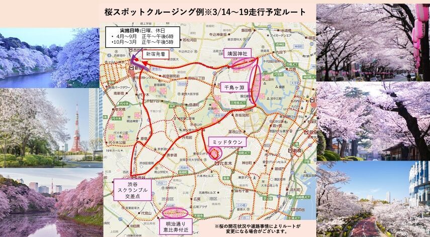 新感覚のお花見!?アフタヌーンティーバスツアーで都内の桜スポットを巡ろう♡の11枚目の画像