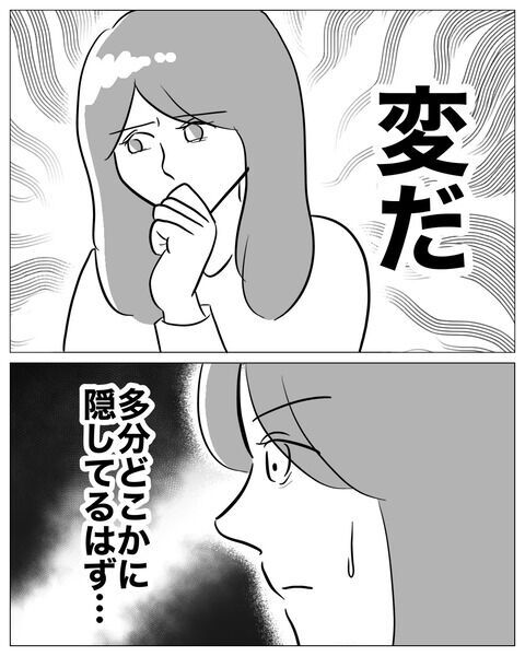 記録にこだわる夫なのに…この違和感はいったい…？【専業主婦は不倫されてしかるべし！ Vol.22】の3枚目の画像