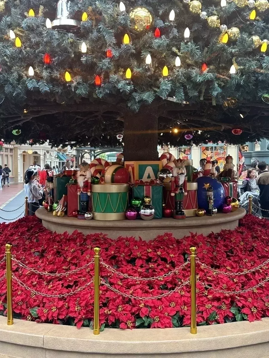 《ディズニー・クリスマス》スタート♡絶対欲しい身につけグッズ3選・パレードの見どころも紹介！(会員限定) ローリエプレス