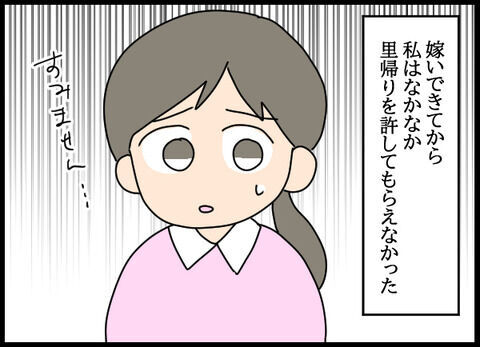 「里帰りですって？」姑が実家に帰らせてくれない…息子にまで悪影響が…【浮気旦那のその後 Vol.2】の3枚目の画像