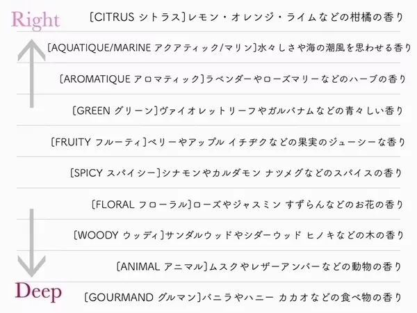 意外と知らない香水のまとい方 香りのノートごとにつける位置をチェンジ ローリエプレス