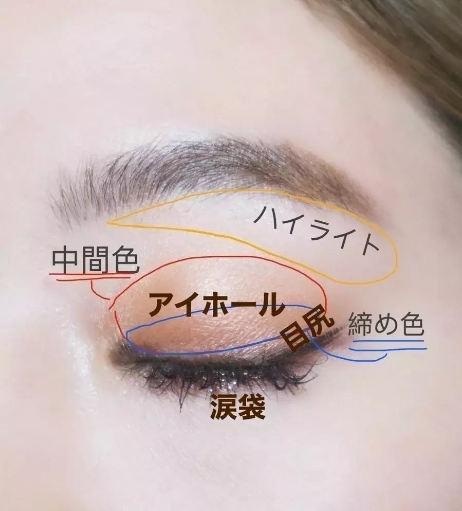 いまさら聞けないアイシャドウ基本の教科書 カラーや質 塗り方まで大公開 ローリエプレス