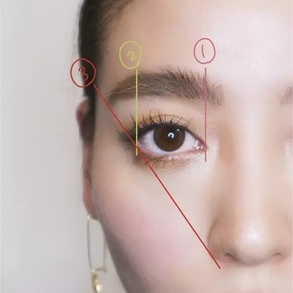 美眉のキホン 黄金比 を知ろう あなたの悩みを解決 アイブロウの描き方 アイテムリストをチェック ローリエプレス