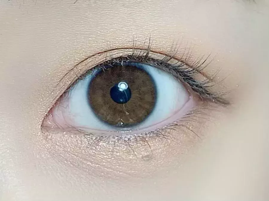 マスク時のまつげメイクは 繊細セパレート が美モテ マスカラでぱっちりアイをつくるコツを伝授 ローリエプレス