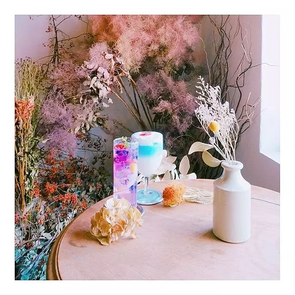 関西 秋はお花カフェ巡りしよう 人気の華やかお花カフェ6店をチェック ローリエプレス