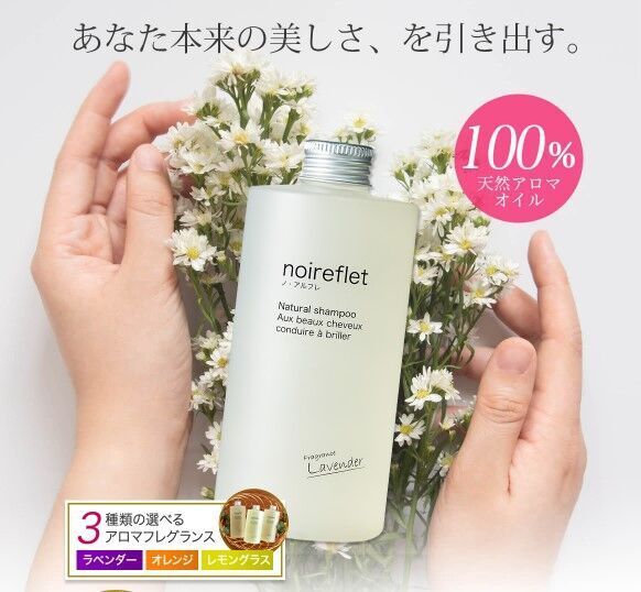 noireflet