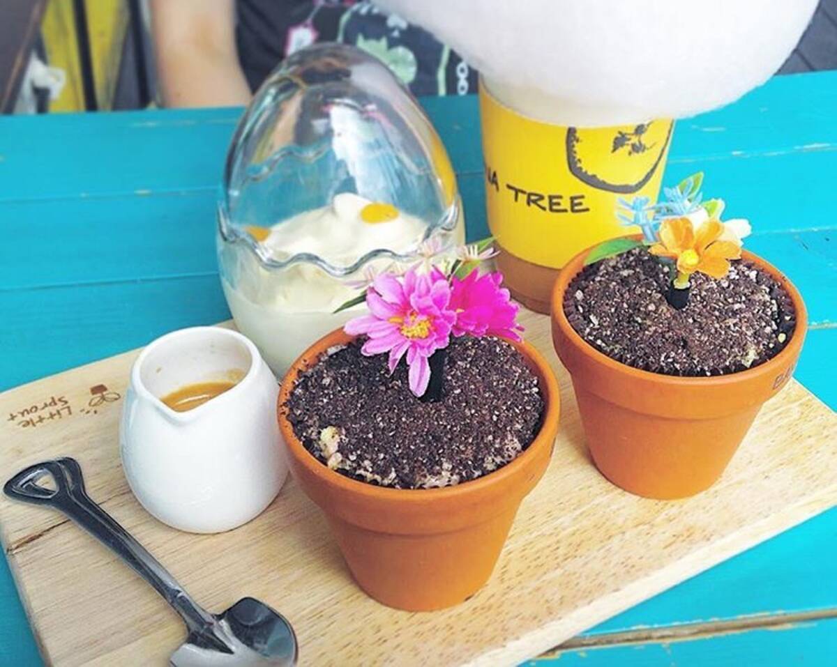 簡単かわいい 植木鉢プリン の作り方 韓国で大人気のスイーツをアレンジ ローリエプレス