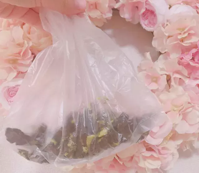 簡単かわいい 植木鉢プリン の作り方 韓国で大人気のスイーツをアレンジ ローリエプレス