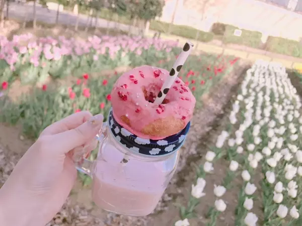 おしゃピクに欠かせない 簡単かわいいピンクドーナツの作り方 動画 ローリエプレス