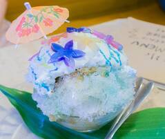 インスタで爆発的人気♡　味も見た目も楽しいかき氷・甘味処いちょうの木【東京カフェジェニック17】