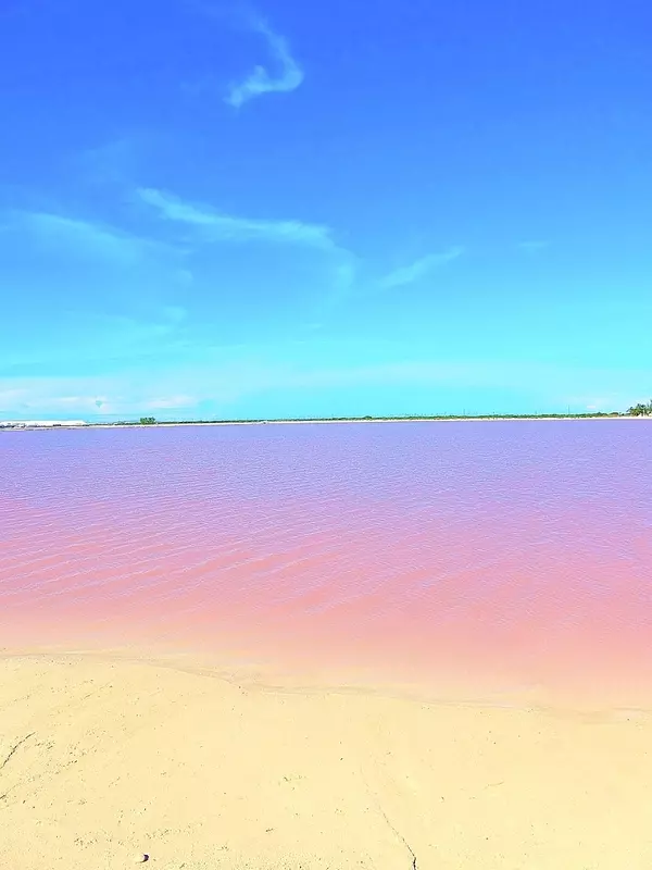 かわいすぎるピンクの湖が話題 おすすめメキシコ女子旅観光スポット ローリエプレス