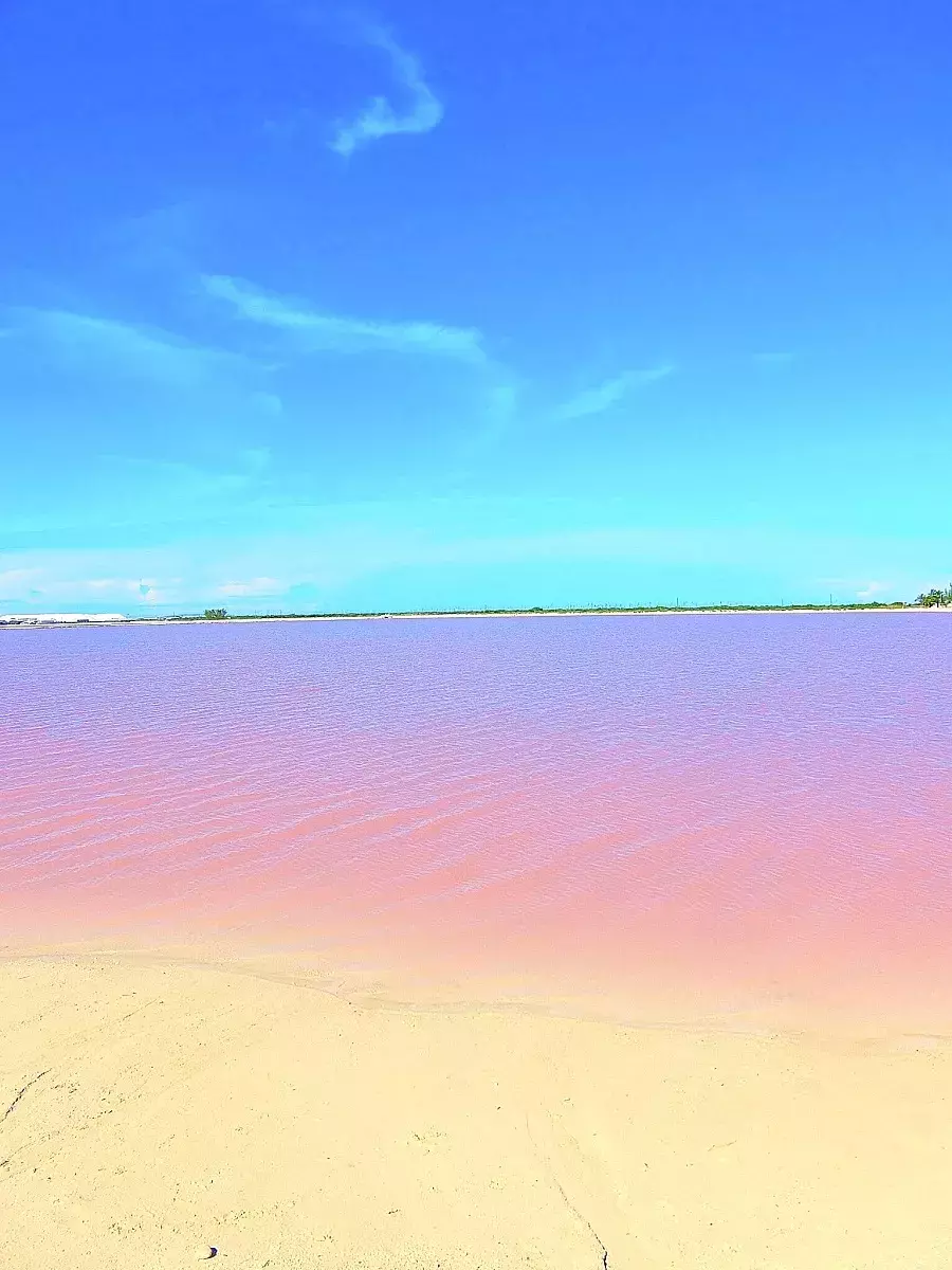 かわいすぎるピンクの湖が話題 おすすめメキシコ女子旅観光スポット ローリエプレス