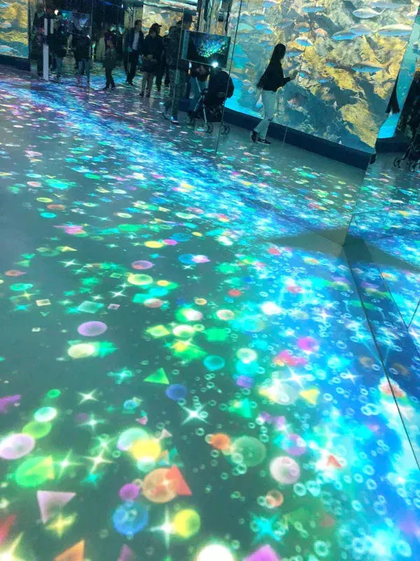 女子旅や旅行デートで行きたい インスタ映え水族館しってる ローリエプレス