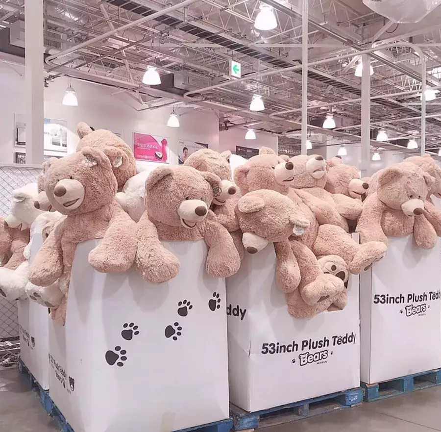 コストコで一度は買いたい人気商品 絶品チーズやかわいい雑貨まで ローリエプレス