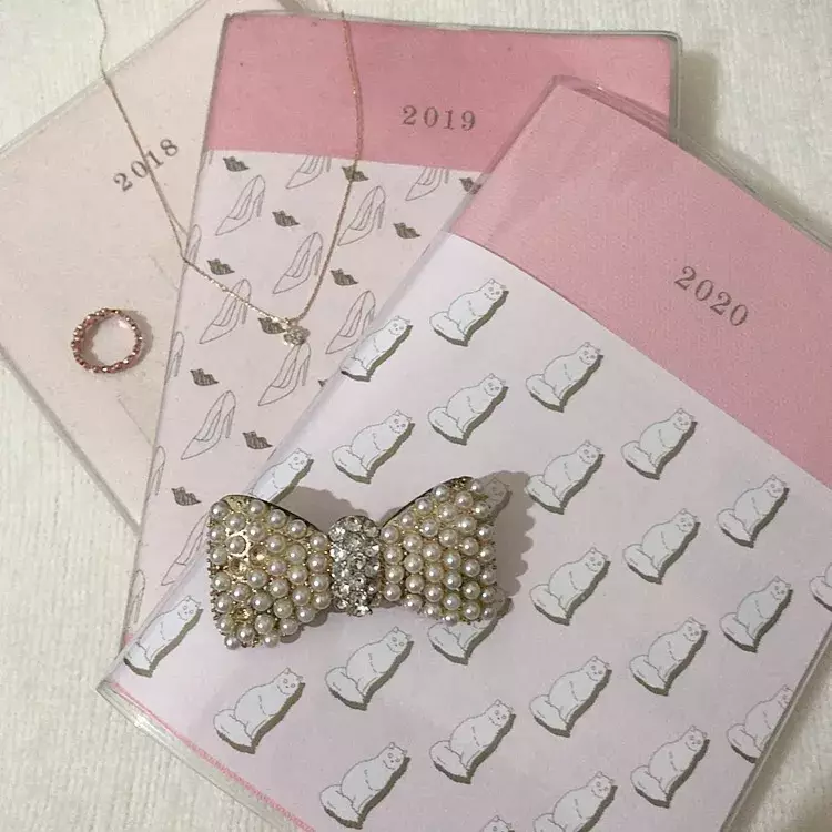 日々女子力がアップする手帳知ってる スケジュール管理しながら理想の自分へ ローリエプレス 日々女子力がアップする手帳知ってる スケジュール管理しながら理想の自分へ ローリエプレス