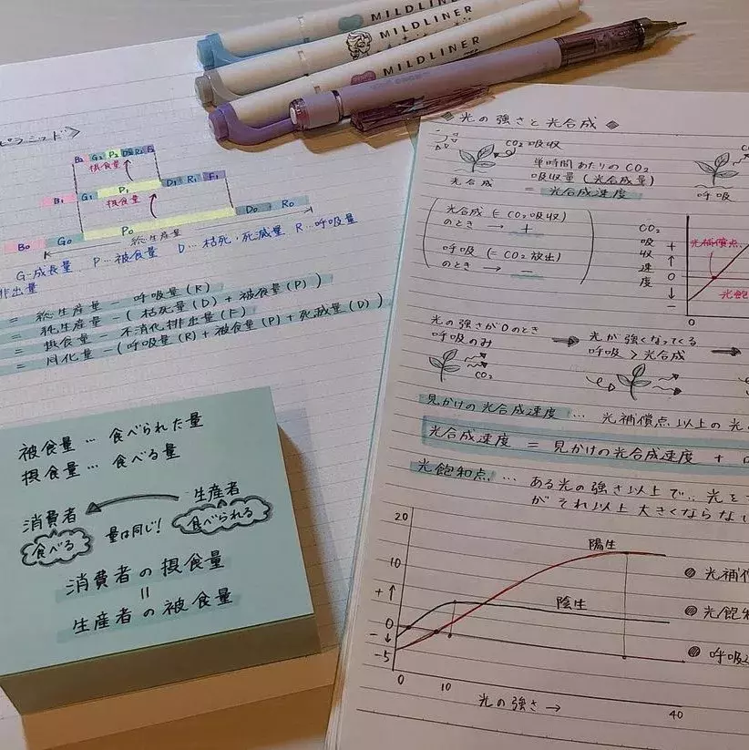 モチベアップで成績も上がる Study Vlogまとめ テスト1週間前 の過ごし方 勉強法を紹介 ローリエプレス