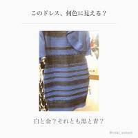 【錯覚テスト】何色に見える？人によって色が変わる不思議なドレス