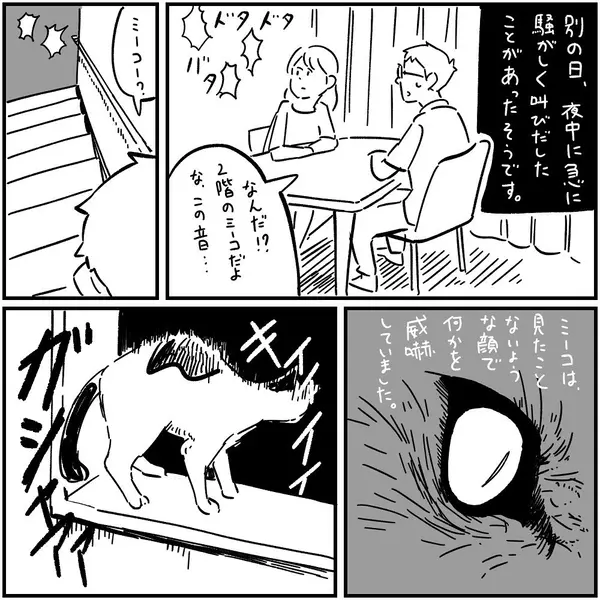 漫画 あなたは信じる 飼い猫の不思議な力 フォロワーさんの本当にあった怖い話vol 4 ローリエプレス