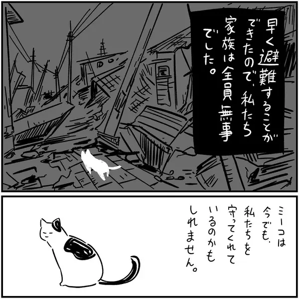 漫画 あなたは信じる 飼い猫の不思議な力 フォロワーさんの本当にあった怖い話vol 4 ローリエプレス