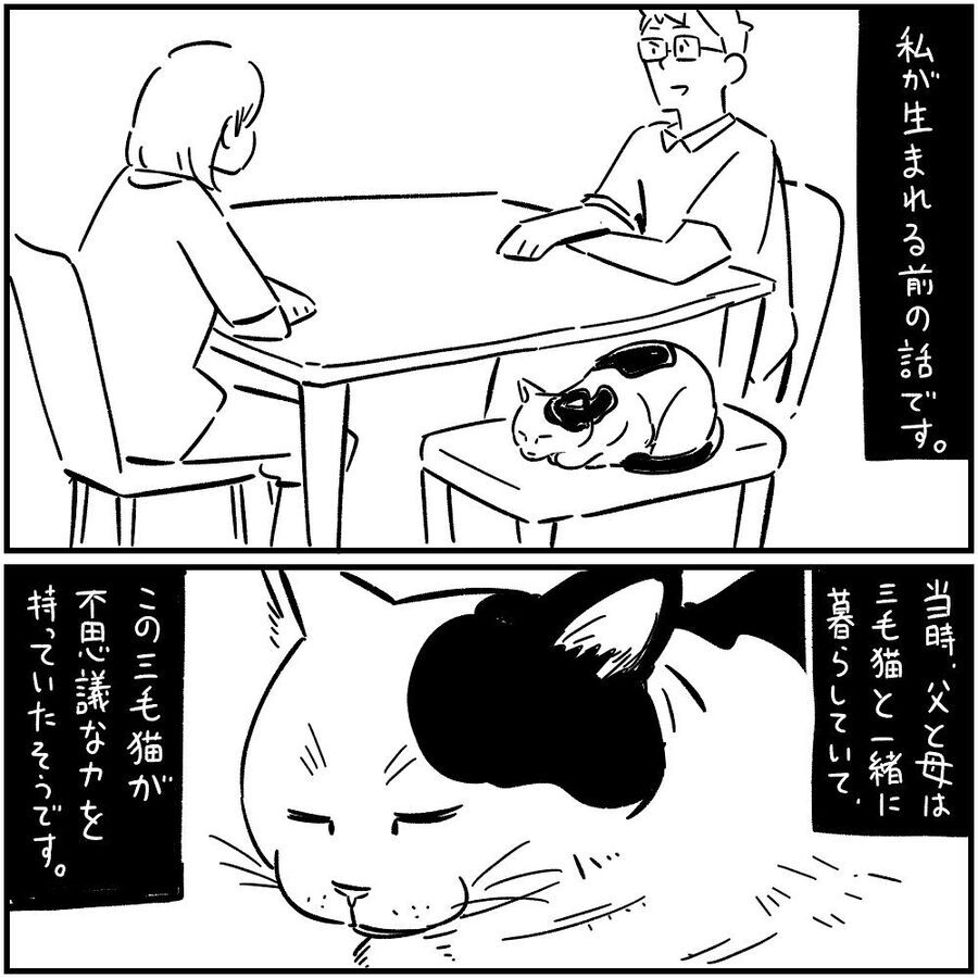【漫画】あなたは信じる？飼い猫の不思議な力【フォロワーさんの本当にあった怖い話Vol.4】の3枚目の画像