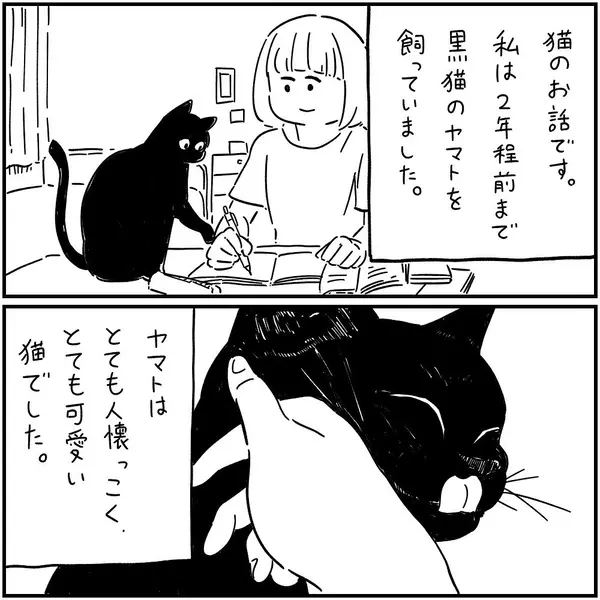 漫画 悪い霊が付いてくる 亡き飼い猫の願い フォロワーさんの本当にあった怖い話vol 14 ローリエプレス