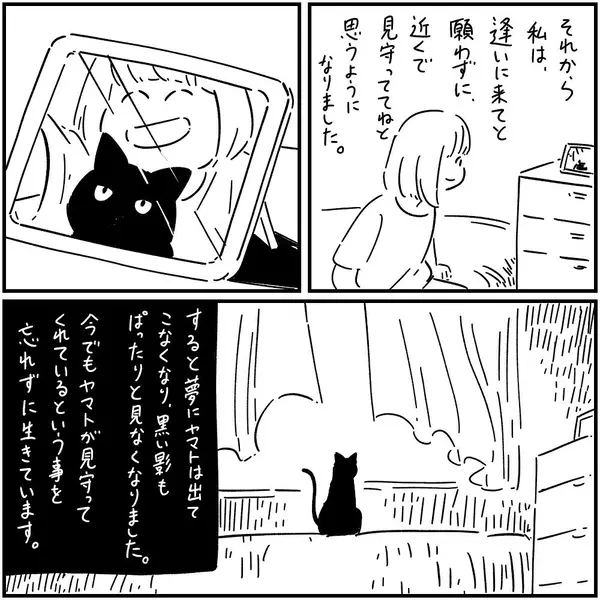 漫画 悪い霊が付いてくる 亡き飼い猫の願い フォロワーさんの本当にあった怖い話vol 14 ローリエプレス
