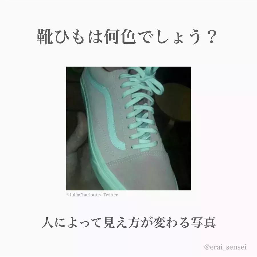 錯覚テスト2 靴ひもは何色 見え方が変わる不思議な写真 ローリエプレス