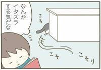 【漫画】イタズラのサイン!?こそこそしているうちの猫【うちの猫がまた変なことしてる。Vol.1】