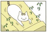 【漫画】バリバリ！猫が爪とぎをしていた場所は…【うちの猫がまた変なことしてる。Vol.2】