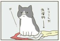 【漫画】洗濯物の上に…「あるもの」をくっつけたい猫たち【うちの猫がまた変なことしてる。Vol.4】