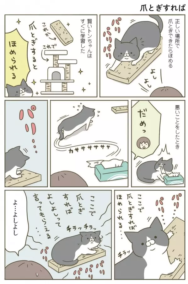 漫画 これで許して 怒られた時の猫の行動 うちの猫がまた変なことしてる Vol 5 ローリエプレス