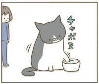 【漫画】手で水を飲む？期待しながら見ていたら…【うちの猫がまた変なことしてる。Vol.7】