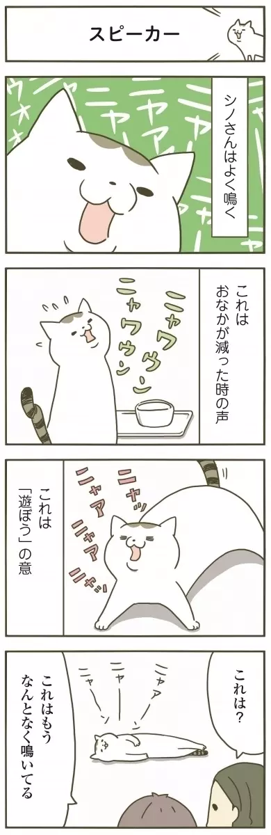 漫画 知らなかった 猫の鳴き方の意味 うちの猫がまた変なことしてる Vol 10 ローリエプレス