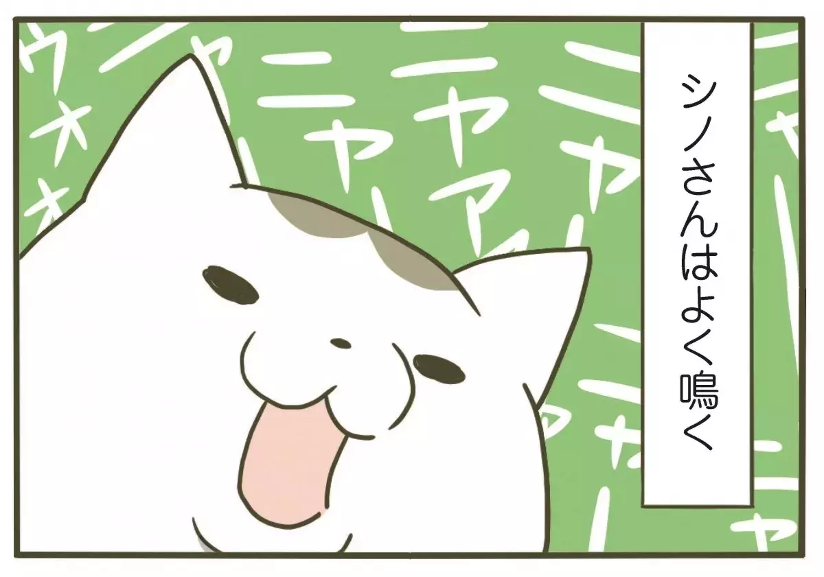 漫画 知らなかった 猫の鳴き方の意味 うちの猫がまた変なことしてる Vol 10 ローリエプレス