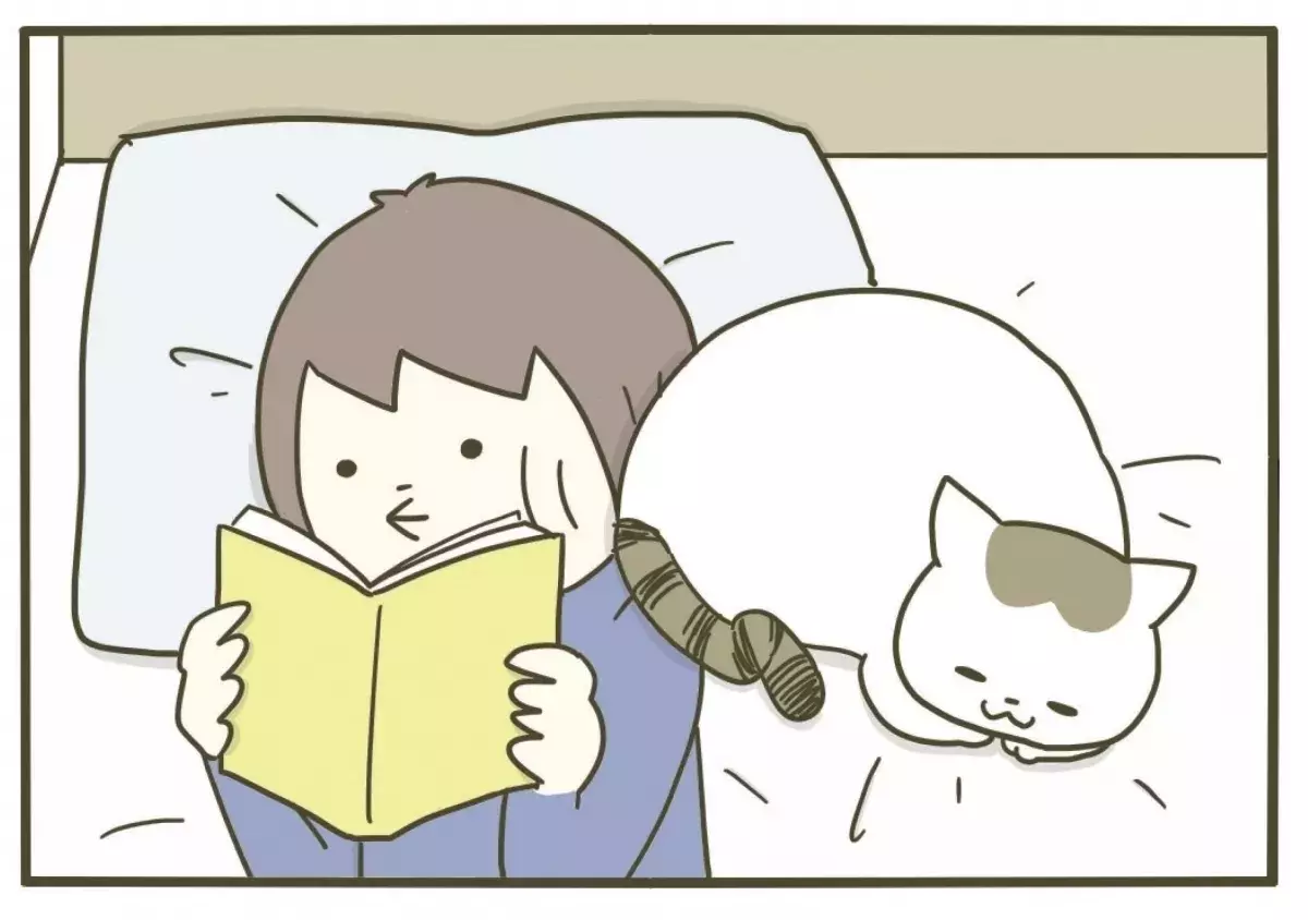 漫画 顔にお尻を 猫の変わったくつろぎ方 うちの猫がまた変なことしてる Vol 12 ローリエプレス