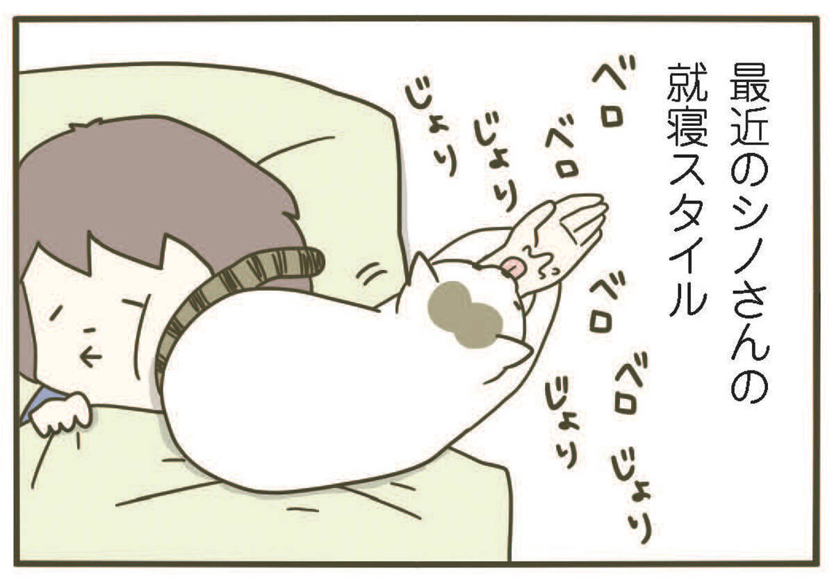 漫画 知らなかった 猫がお尻を向ける理由 うちの猫がまた変なことしてる Vol 13 ローリエプレス