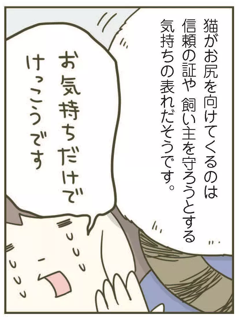 漫画 知らなかった 猫がお尻を向ける理由 うちの猫がまた変なことしてる Vol 13 ローリエプレス