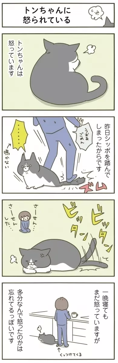 この仕草には要注意 猫の怒りの伝え方 うちの猫がまた変なことしてる Vol 23 ローリエプレス