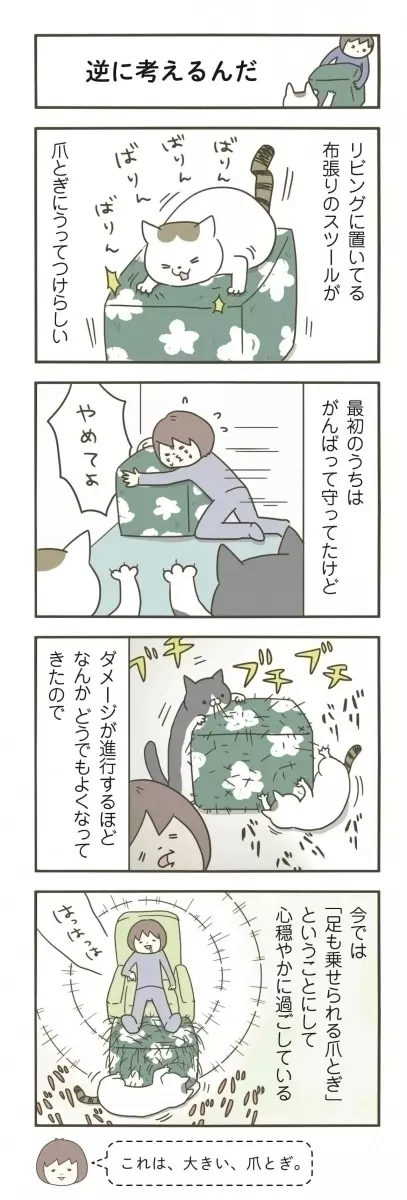 漫画 逆転の発想 爪とぎと化した我が家の うちの猫がまた変なことしてる Vol 24 ローリエプレス