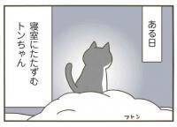 【漫画】急展開！猫がボーッとしていた本当の理由【うちの猫がまた変なことしてる。Vol.34】